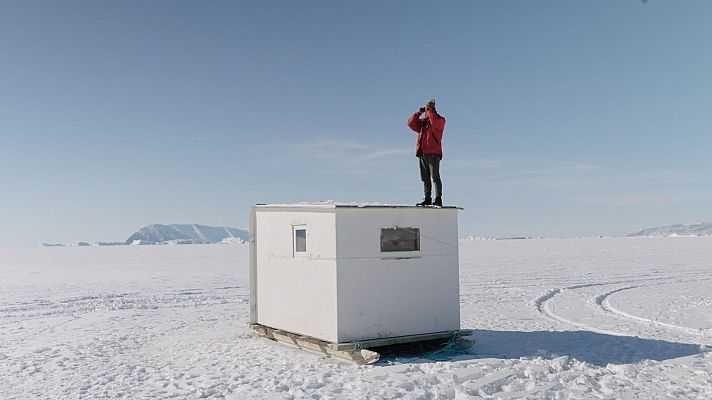 Días de cine - Días de Cine: Objeto de estudio