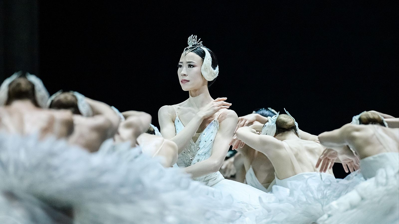 Días de Cine: El lago de los cisnes en  IMAX | Ver