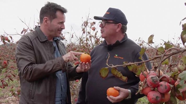 Aquí la Tierra - Pérdidas millonarias en el campo