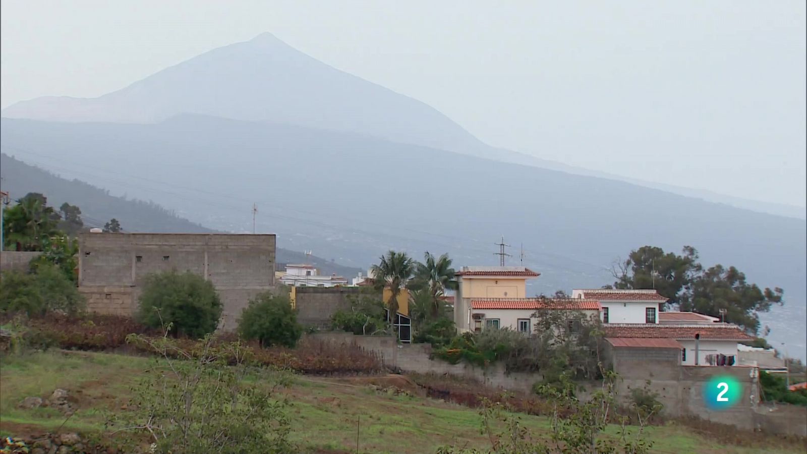 Telecanarias 2 - 08/11/2024 | Ver