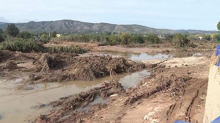 La tarde en 24h - La tarde en 24 horas - 08/11/24