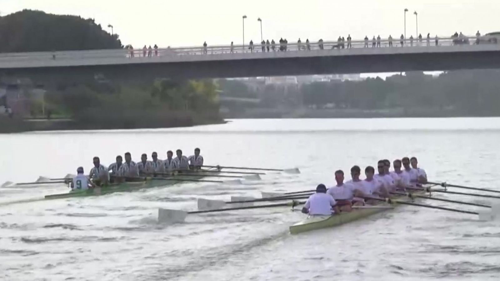 Remo - Regata Sevilla - Betis - ver ahora