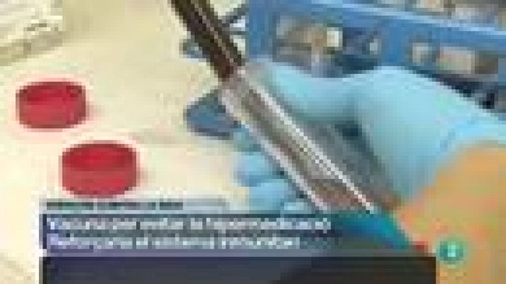 L'Informatiu - L'informatiu vespre - 02/01/13