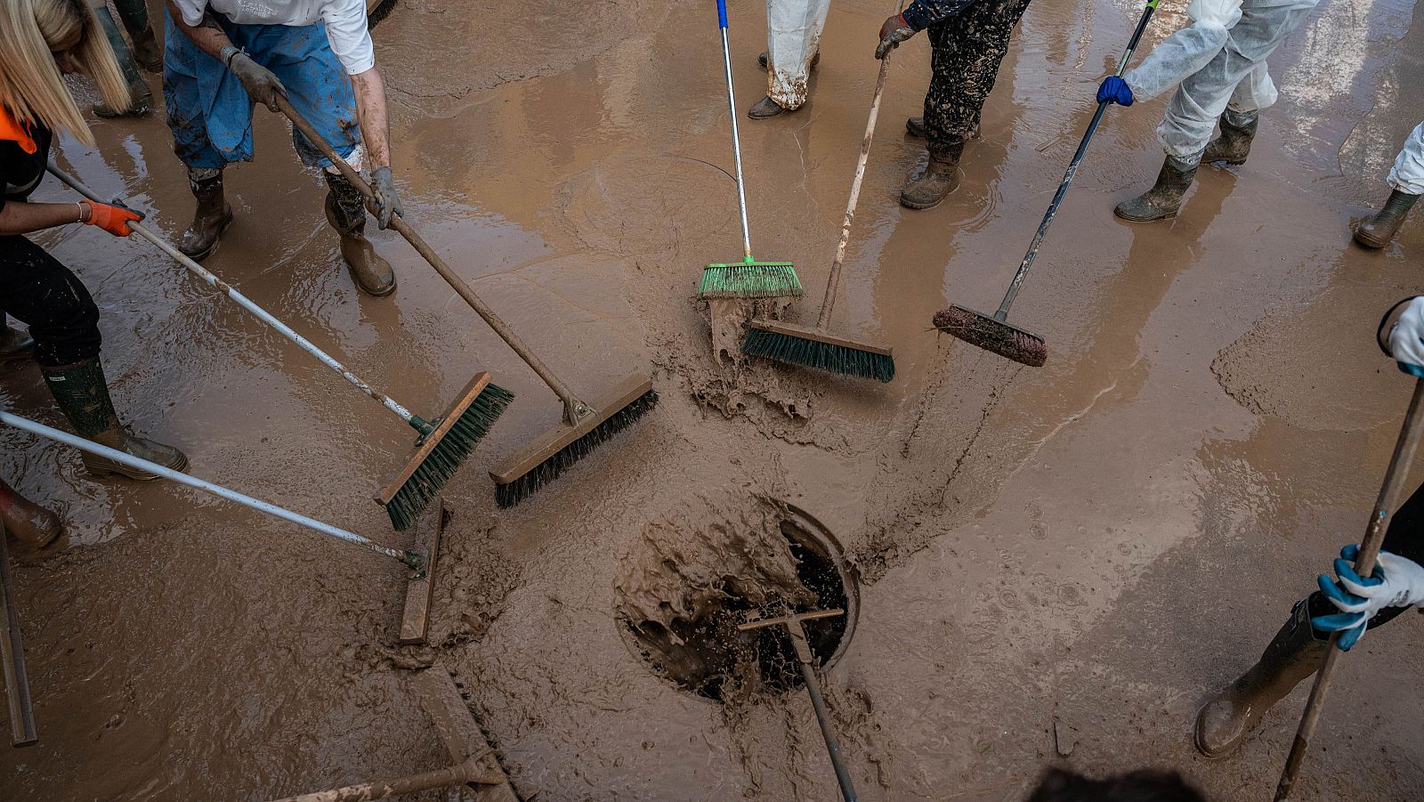 Informe semanal - 09/11/24 - ver ahora