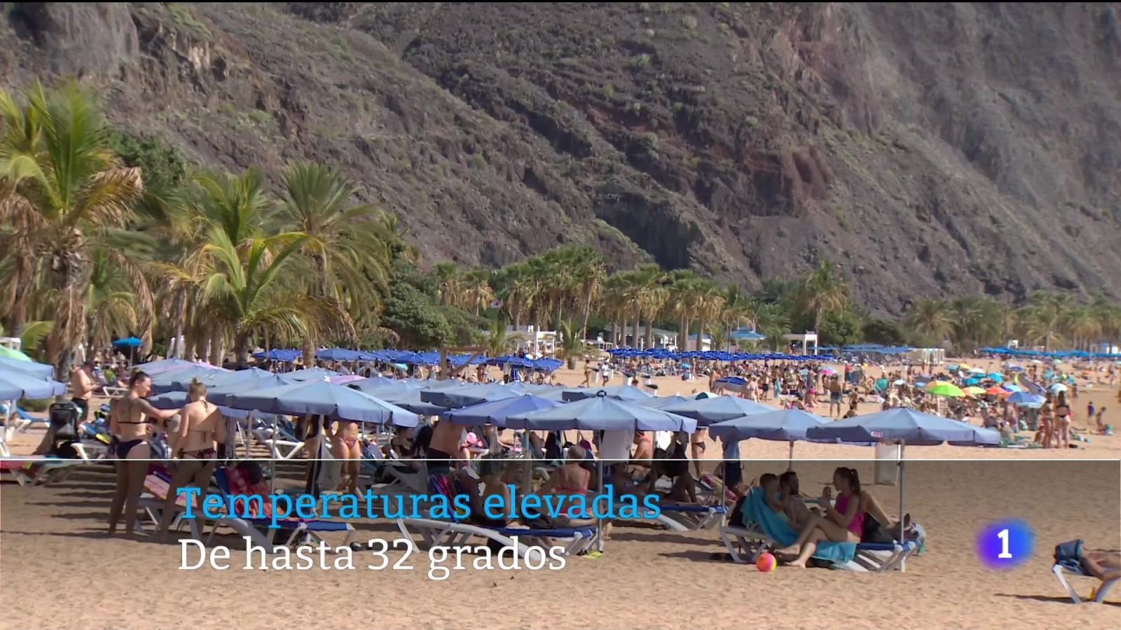 Telecanarias - 10/11/2024 | Ver