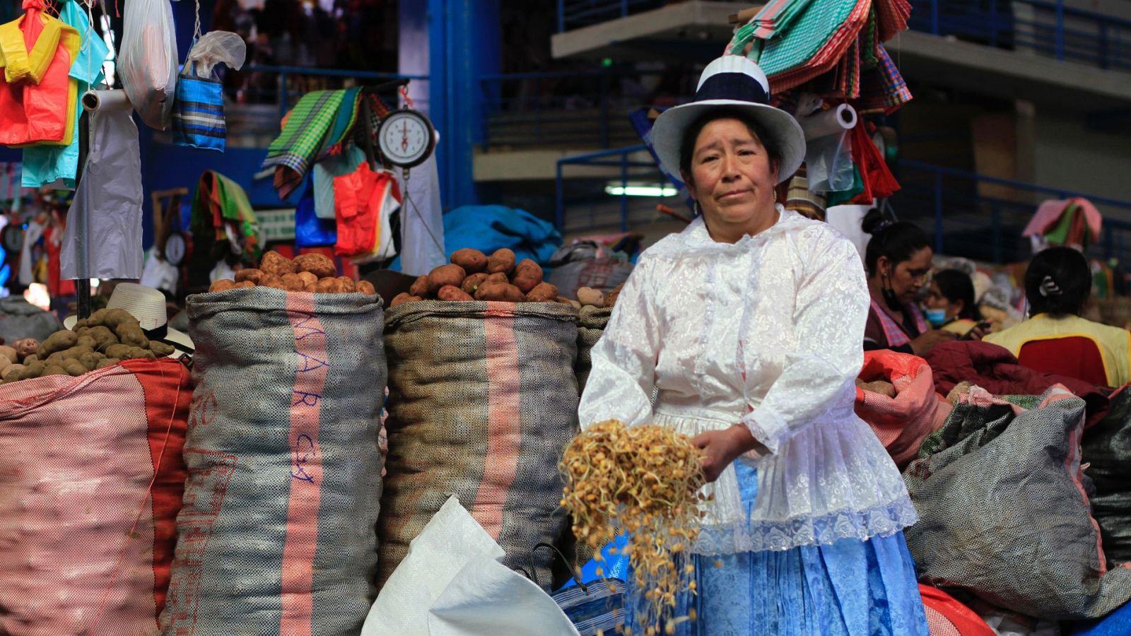 Los seis continentes al descubierto - Episodio 6: América del sur - ver ahora