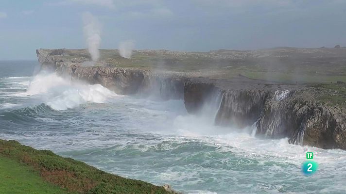 Som Documentals - Espais naturals espectaculars: Dels bufons de Pría a Doñana