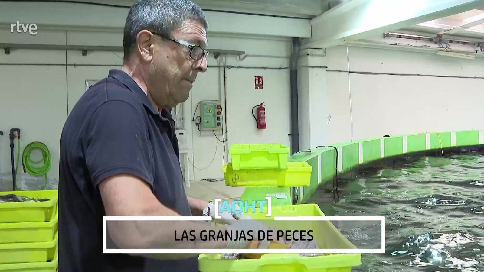 Granjas de peces - Aquí hay trabajo | Ver