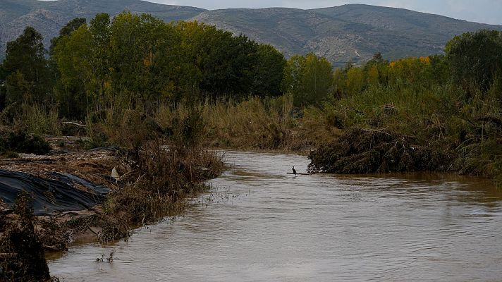 Telediario 1 - Los expertos aconsejan mantener los cauces de los ríos con su vegetación natural