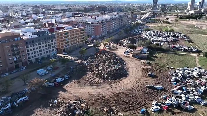 Diario 24 - Diario 24 - 12/11/24