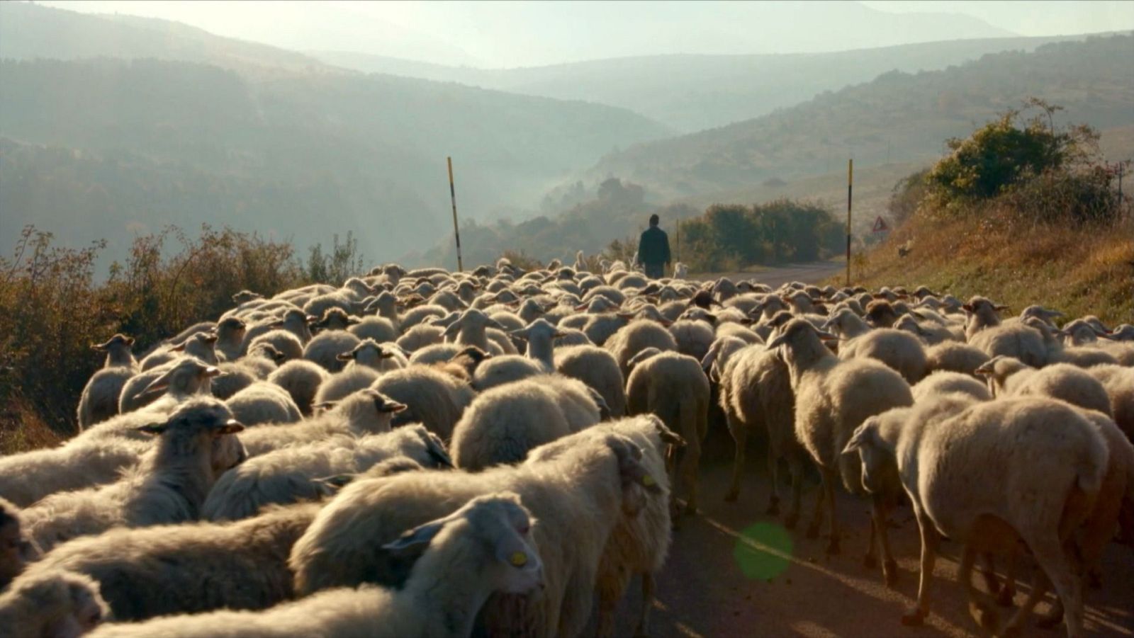 Italiana TV Magazine - Episodio 7 - ver ahora