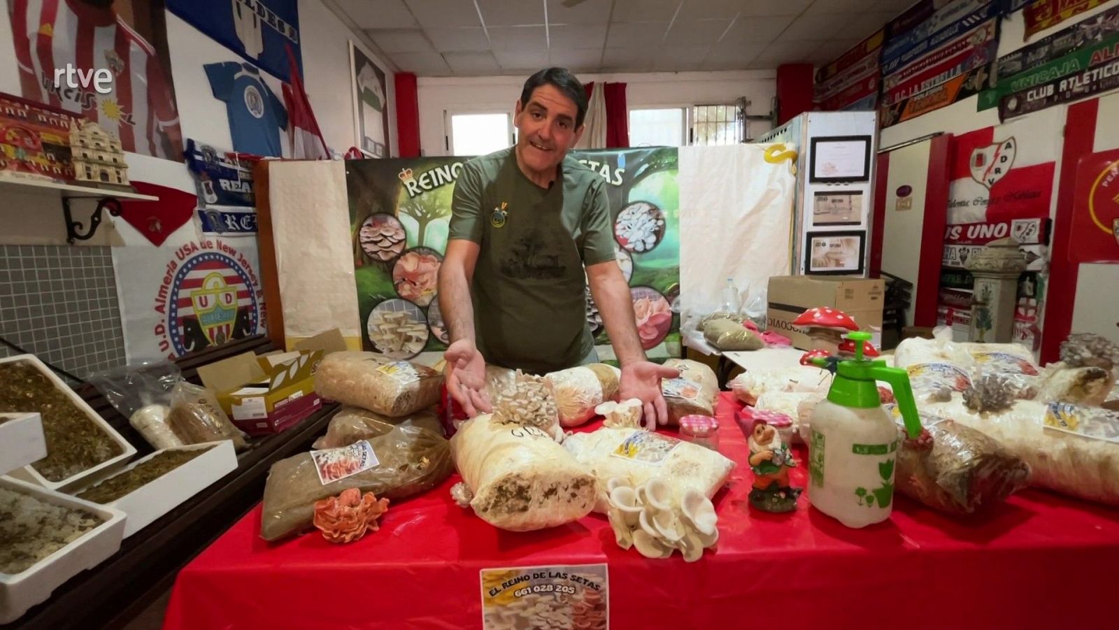 Bolets casolans - Va de Verd | RTVE Catalunya - Va de verd | Veure