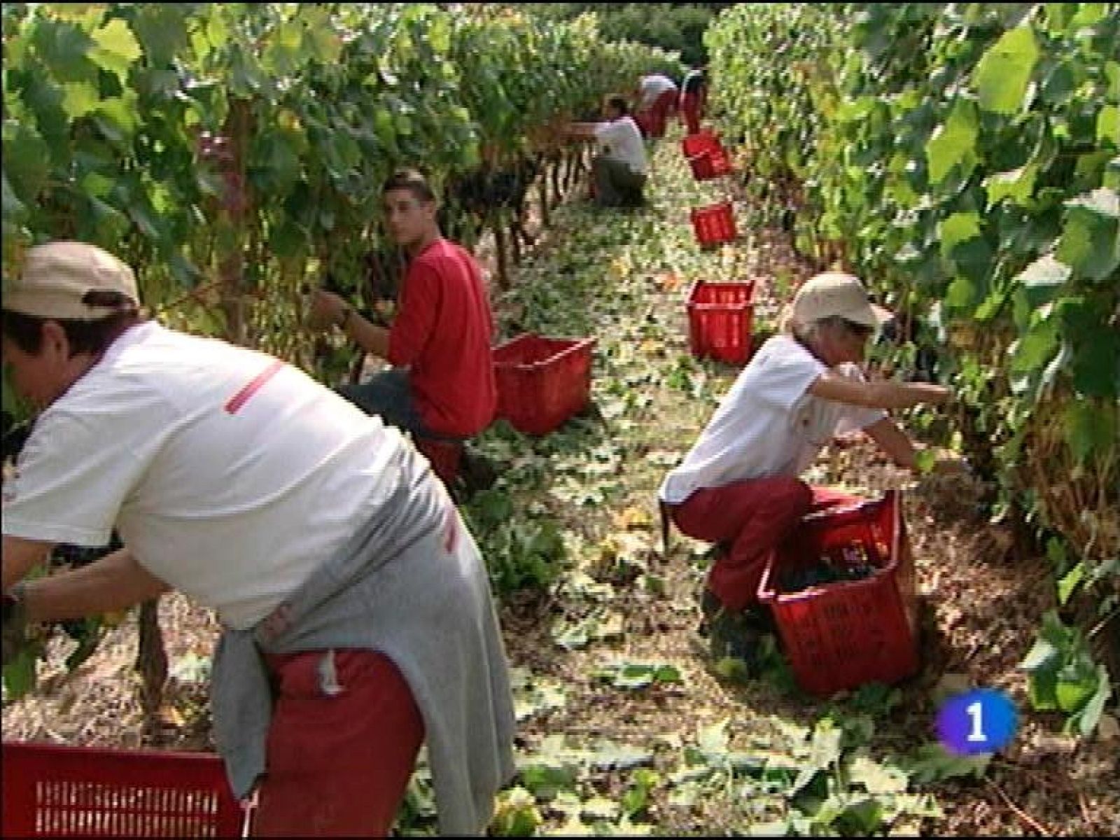 Panorama Regional: Asturias en 2' - 03/01/13 | RTVE Play