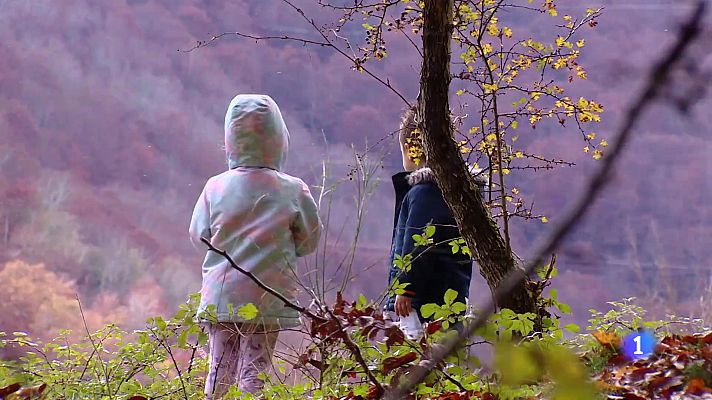 Informativo Telerioja - Informativo Telerioja 2 - 12-11-2024