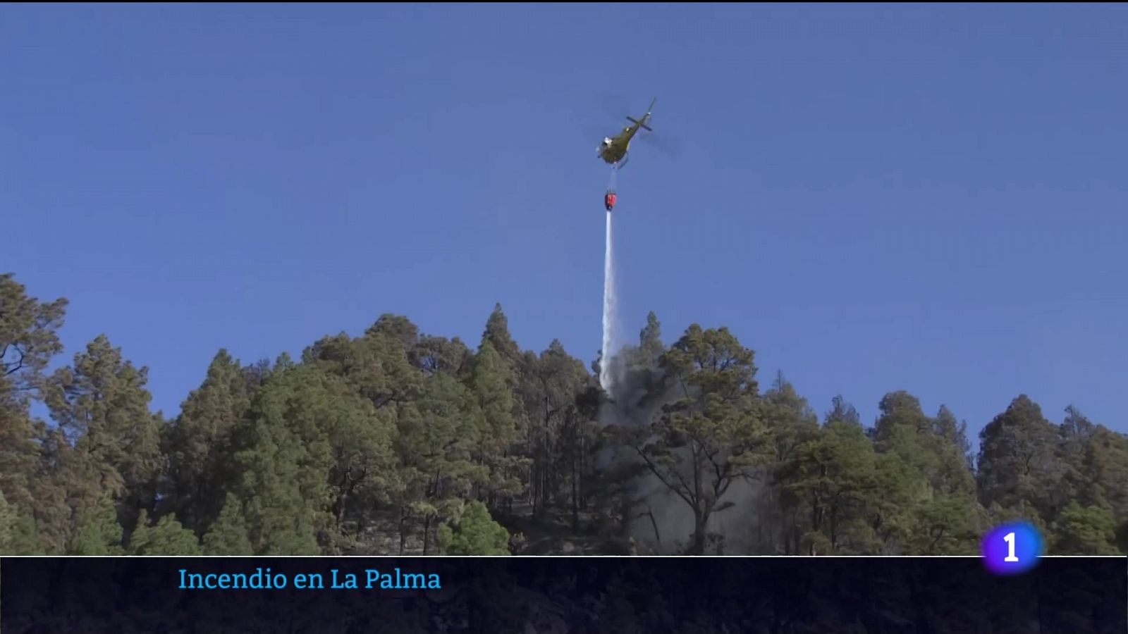 Telecanarias - 12/11/2024 | Ver