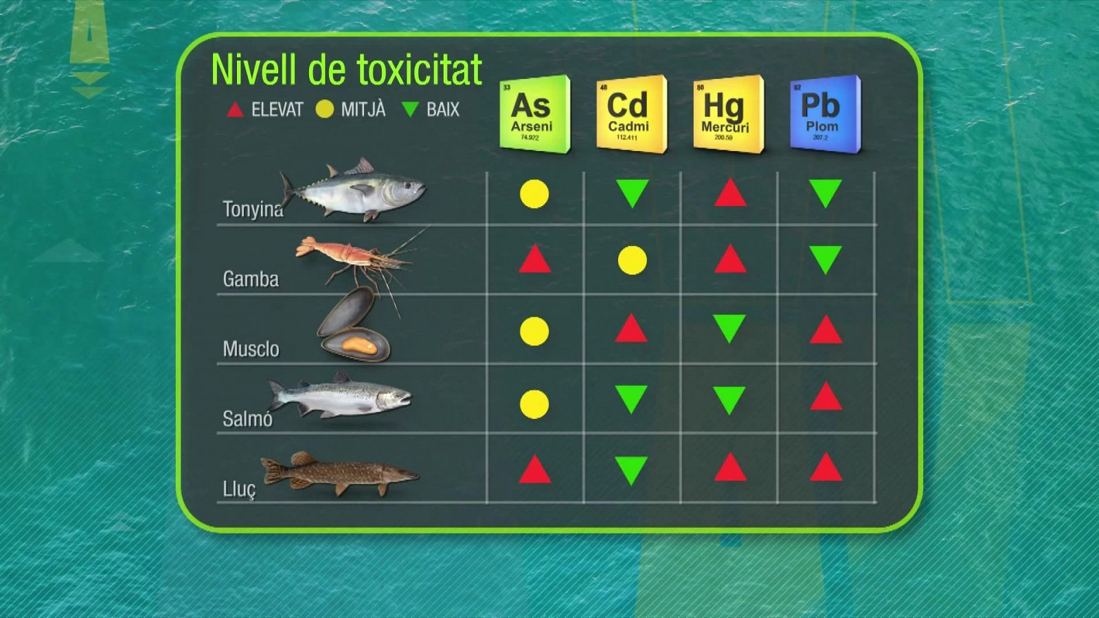 La toxicitat dels peixos i mariscos | L'altaveu