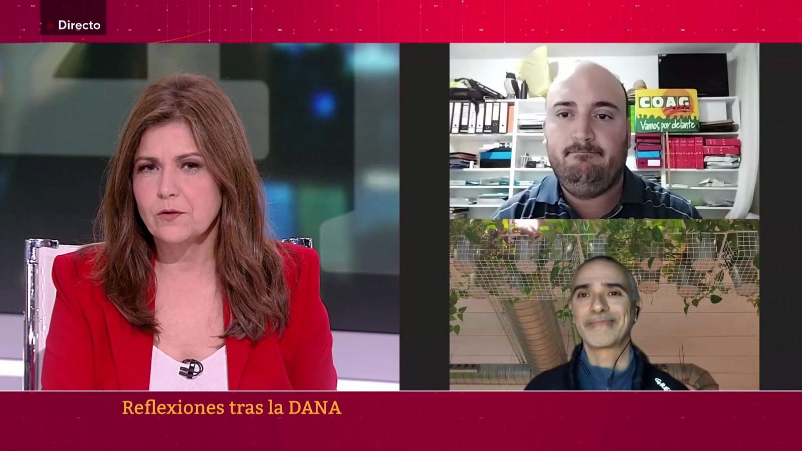 La economía - 12/11/24 - ver ahora