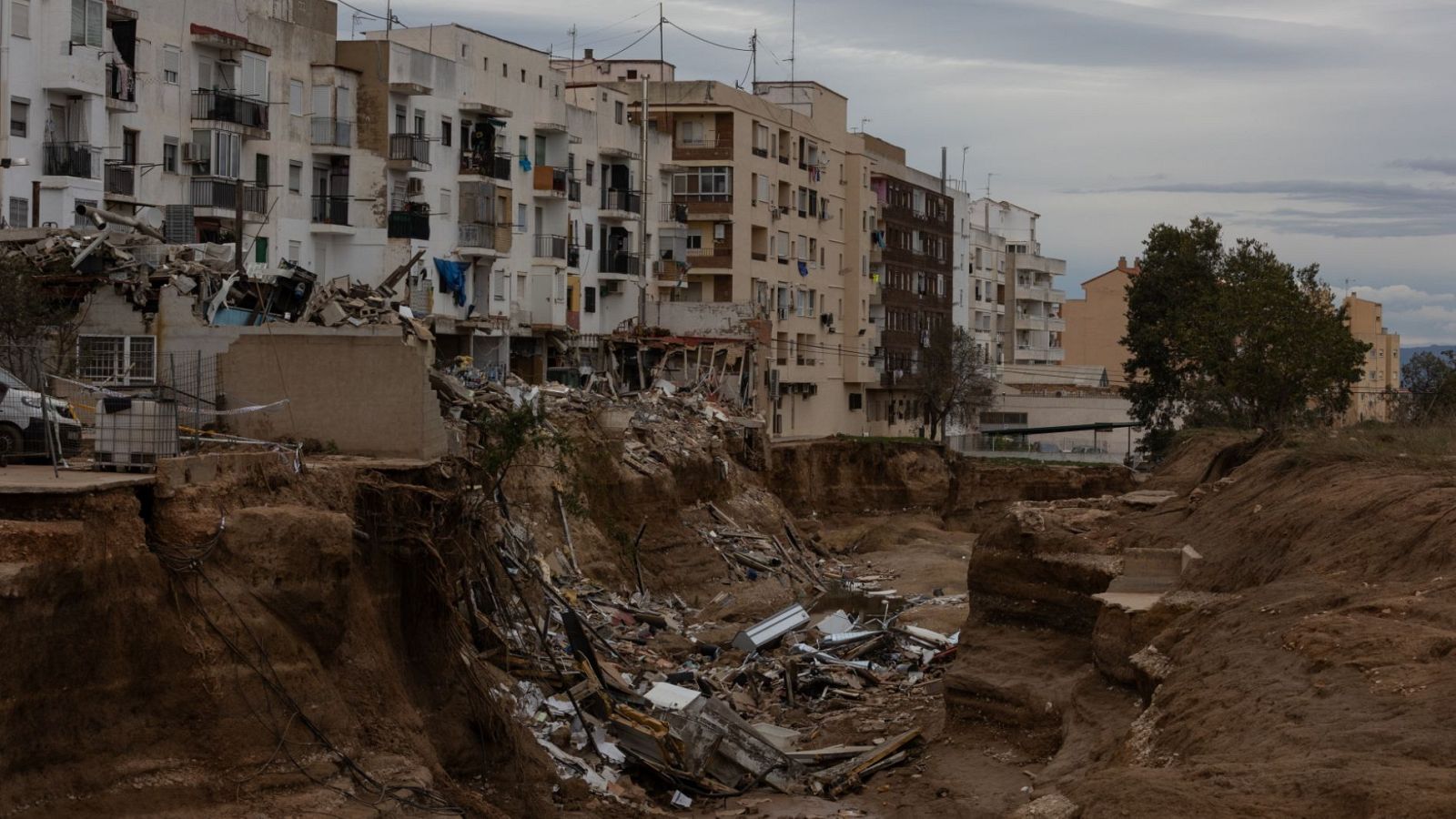 La tarde en 24 horas - 12/11/24 - ver ahora