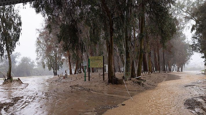 Telediario en lengua de signos - Telediario - 15 horas - 13/11/24 - Lengua de signos