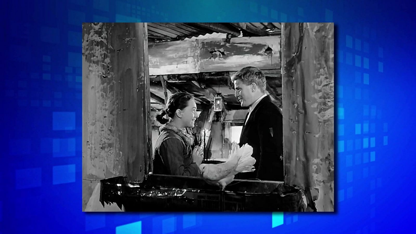 Saber y ganar - 13/11/24 - ver ahora