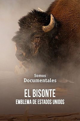 El bisonte, emblema de Estados Unidos