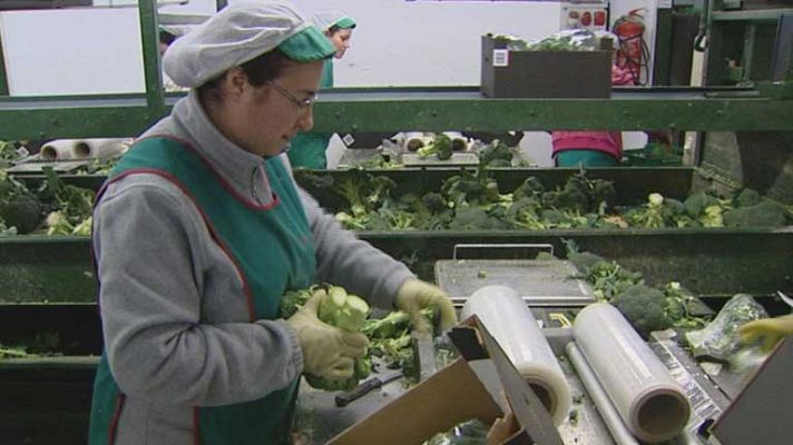 Telediario 1 - 8 tn de alimentos desperdiciados