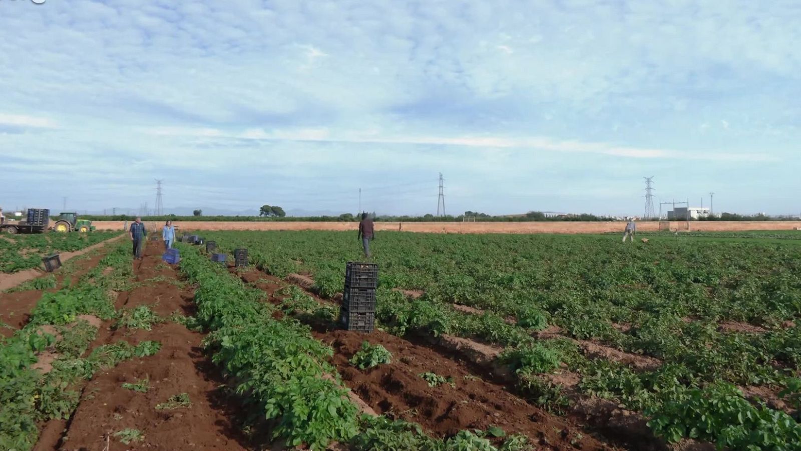 La Huerta es de Todos | Ver
