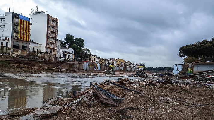 La tarde en 24 horas - 13/11/24