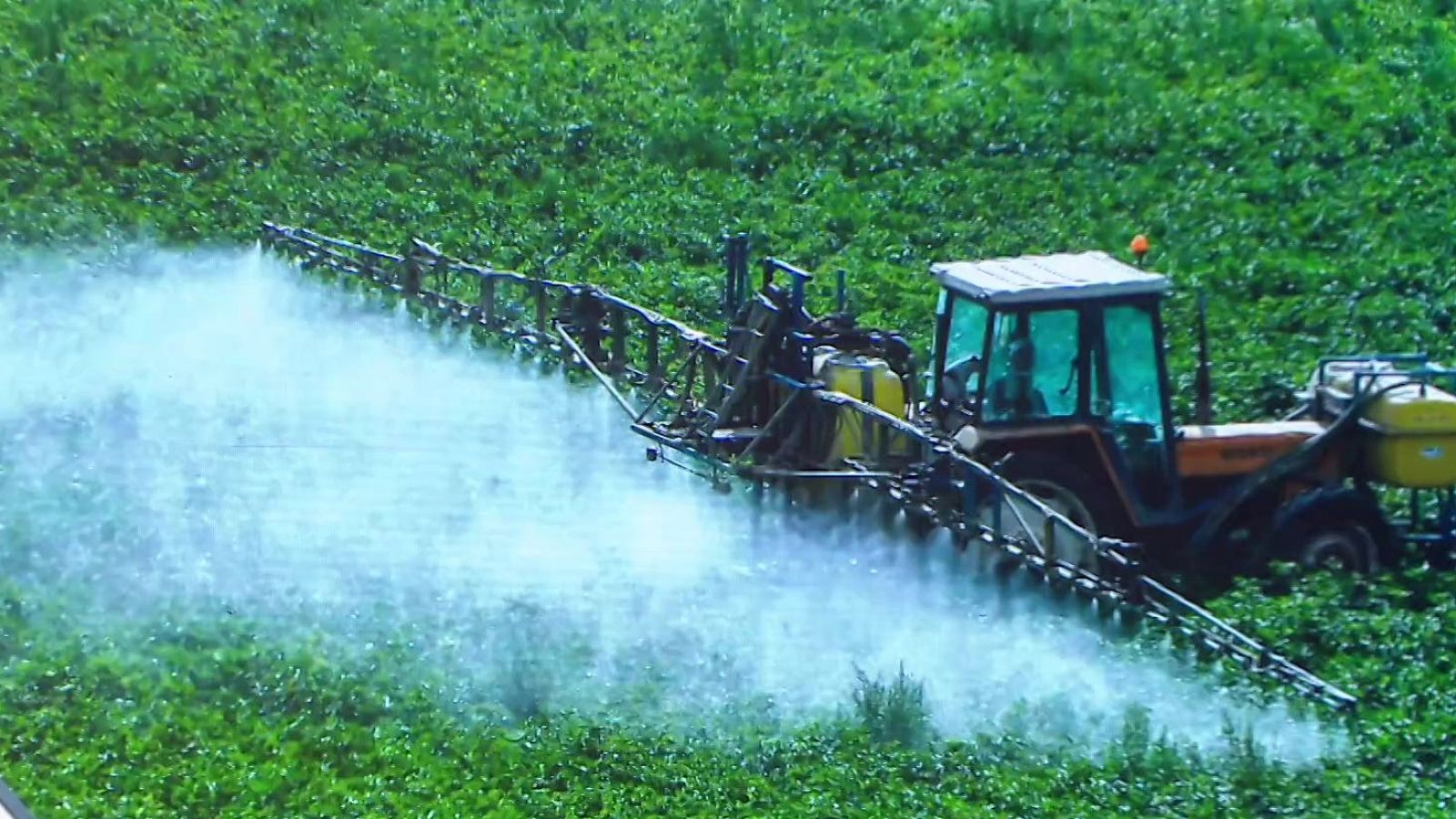 Nicolás Olea. Los disruptores endocrinos | Ver