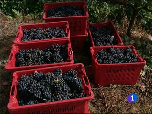 Panorama Regional - Panorama Regional 2 - 03/01/13