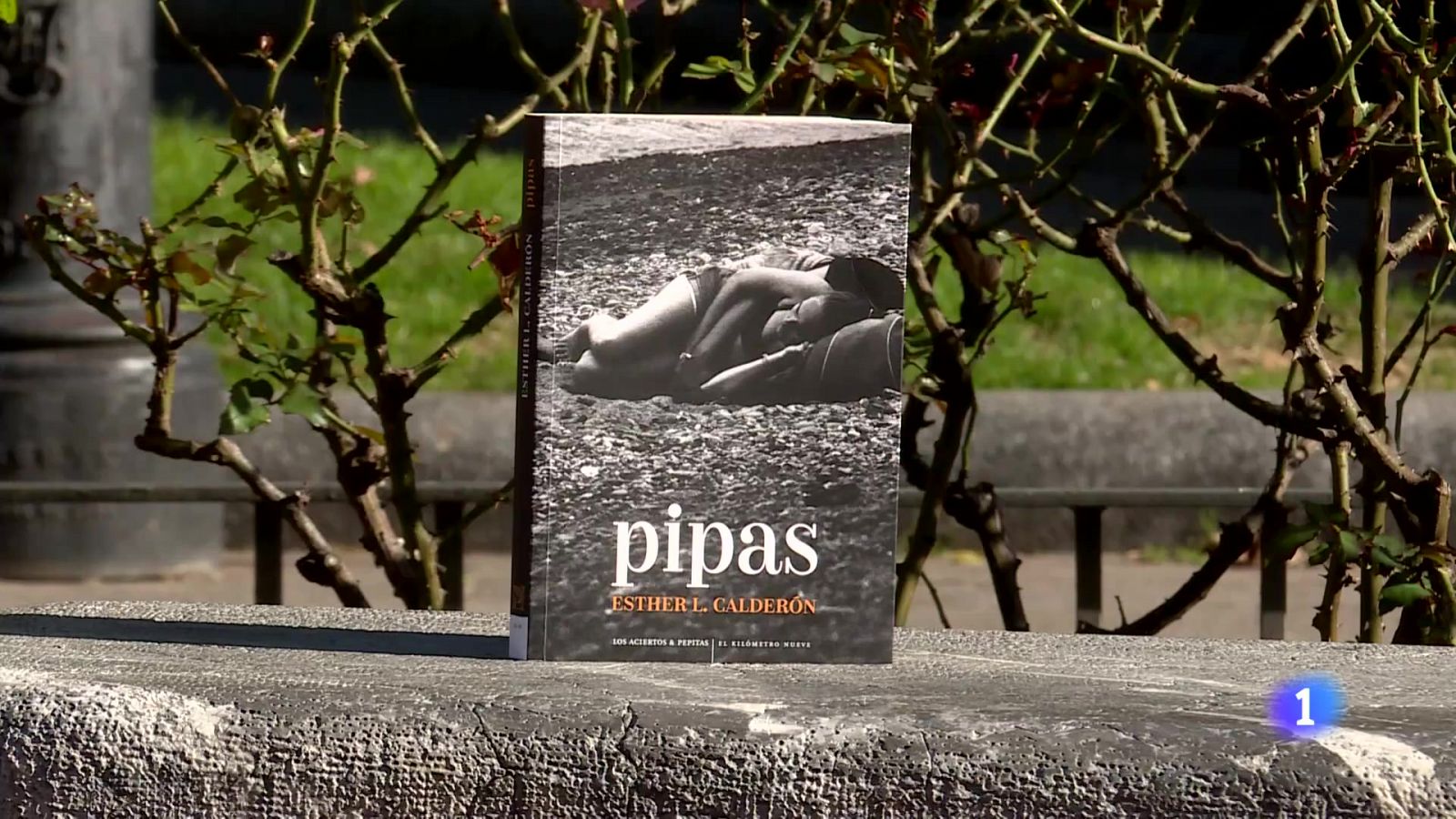 Informativo Telerioja 2 - 14-11-2024 - Informativo Telerioja | Ver