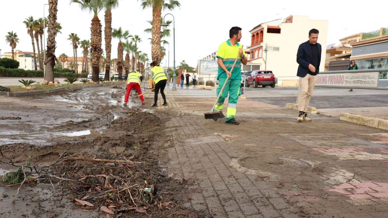 La tarde en 24 horas - 14/11/24 - ver ahora