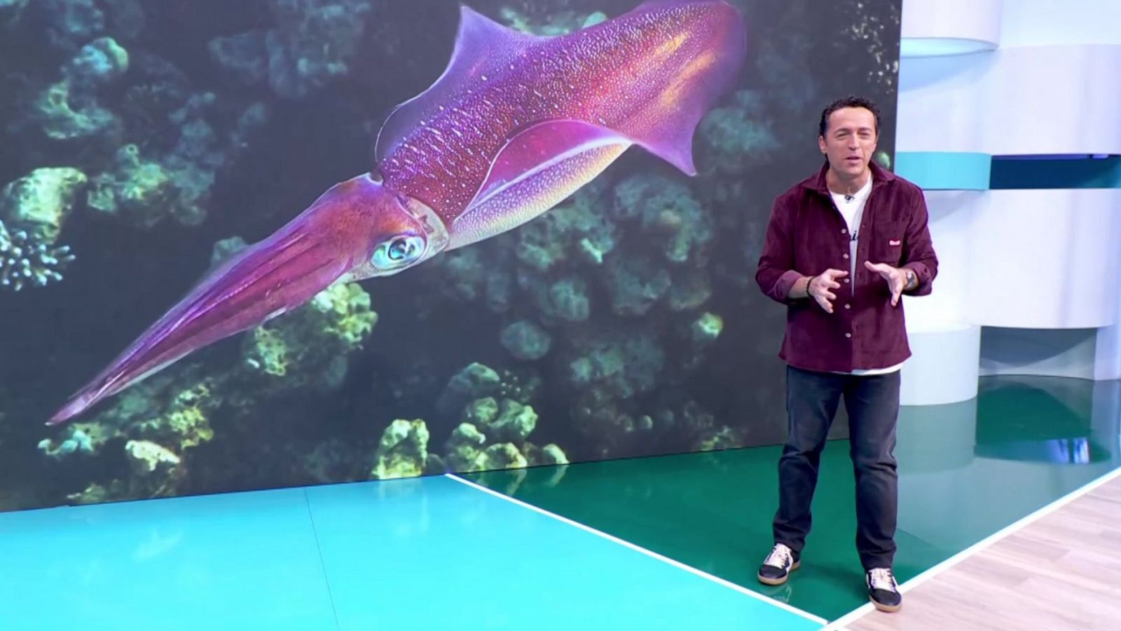 Aquí la Tierra - 14/11/24 - ver ahora