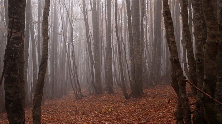 Italiana TV Magazine - Episodio 9