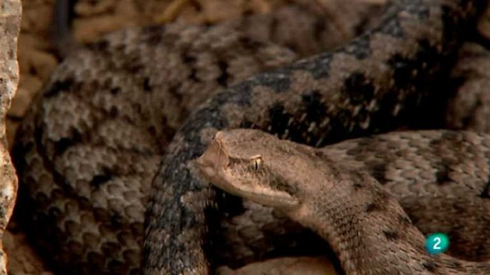 Biodiario - Biodiario - 03/01/13