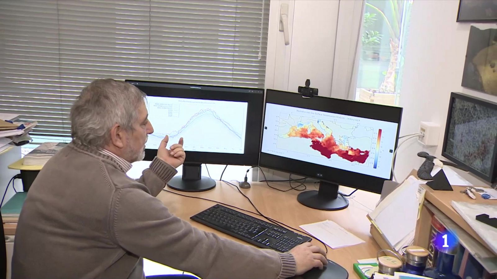 L'impacte de la temperatura del mar en les DANES - L'Informatiu | Veure