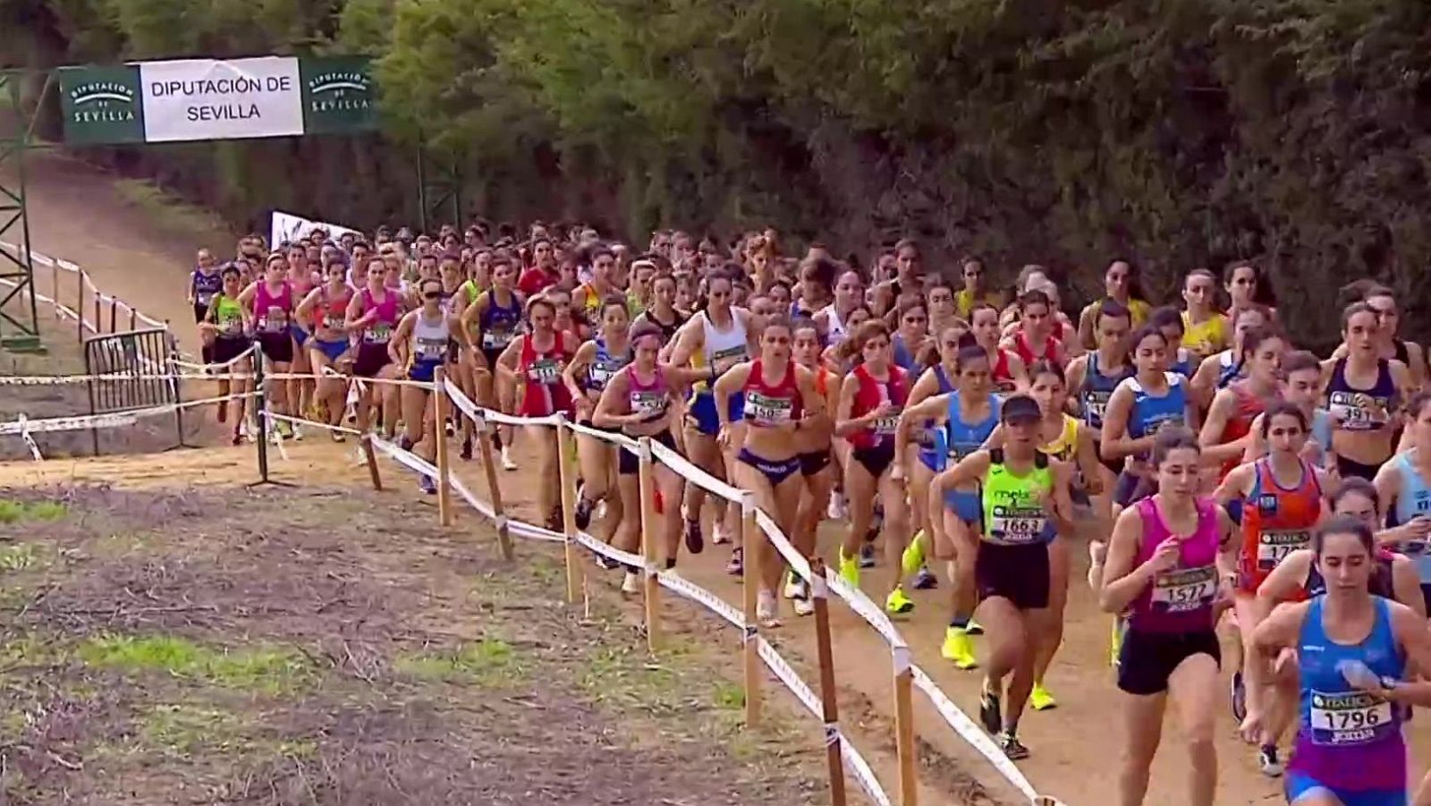 Atletismo - Cross Internacional de Itálica Carrera Femenina