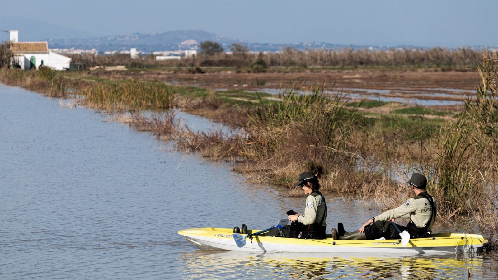 Informativo 24 horas - 20h - 17/11/24 - ver ahora