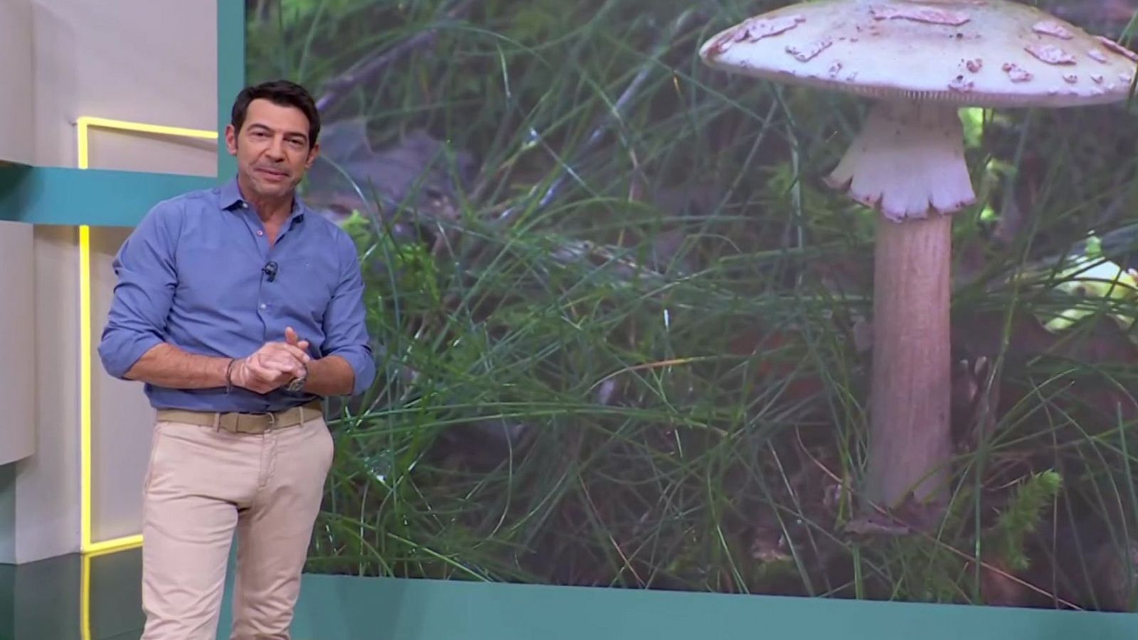 Aquí la Tierra - 17/11/24 - ver ahora