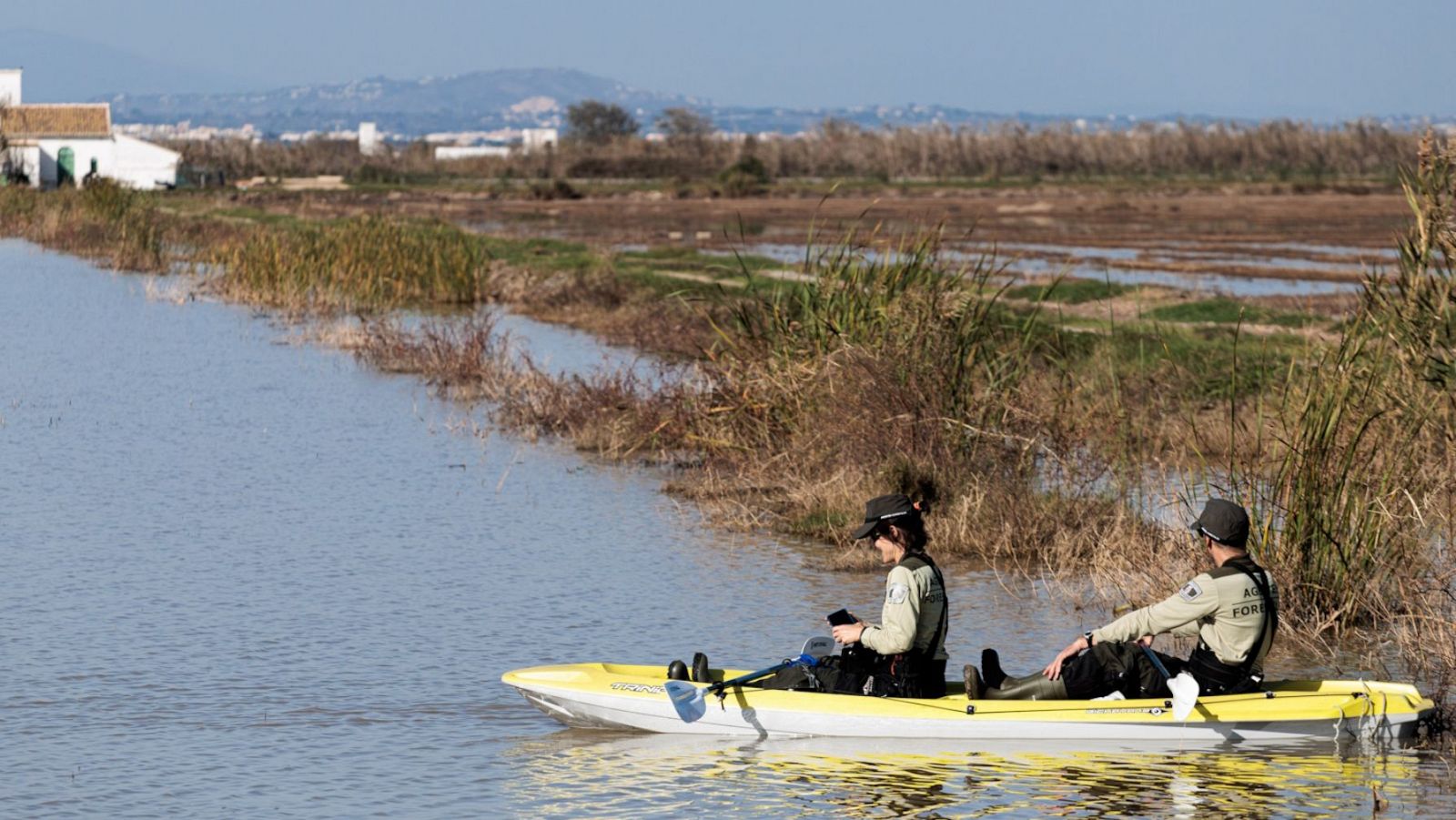 Telediario - 21 horas - 17/11/24 - ver ahora