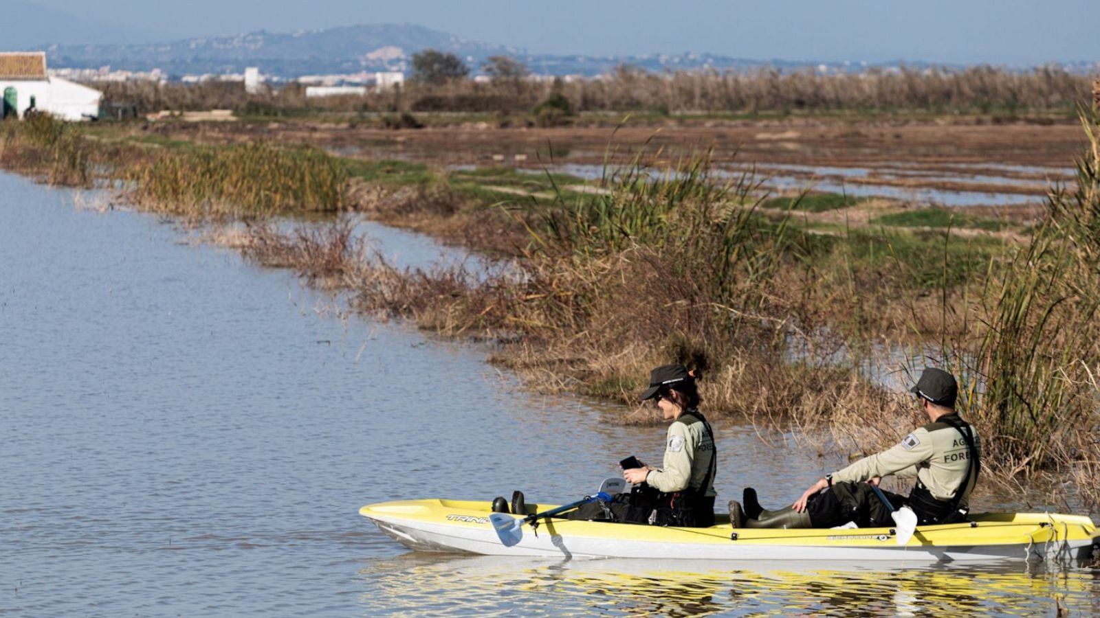 Telediario - 21 horas - 17/11/24 - Lengua de signos-  ver ahora