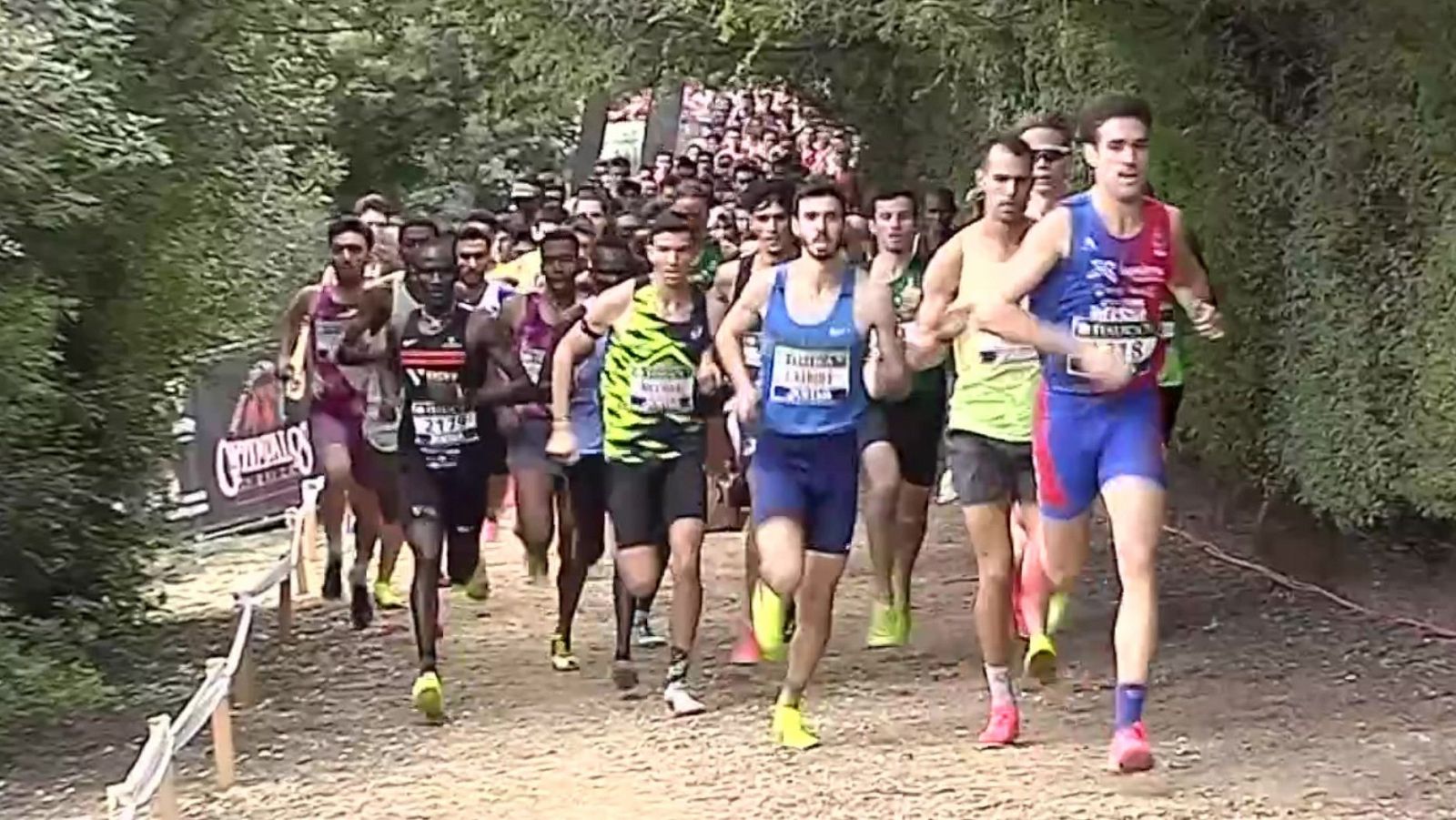 Atletismo - Cross Internacional de Itálica Carrera Masculina