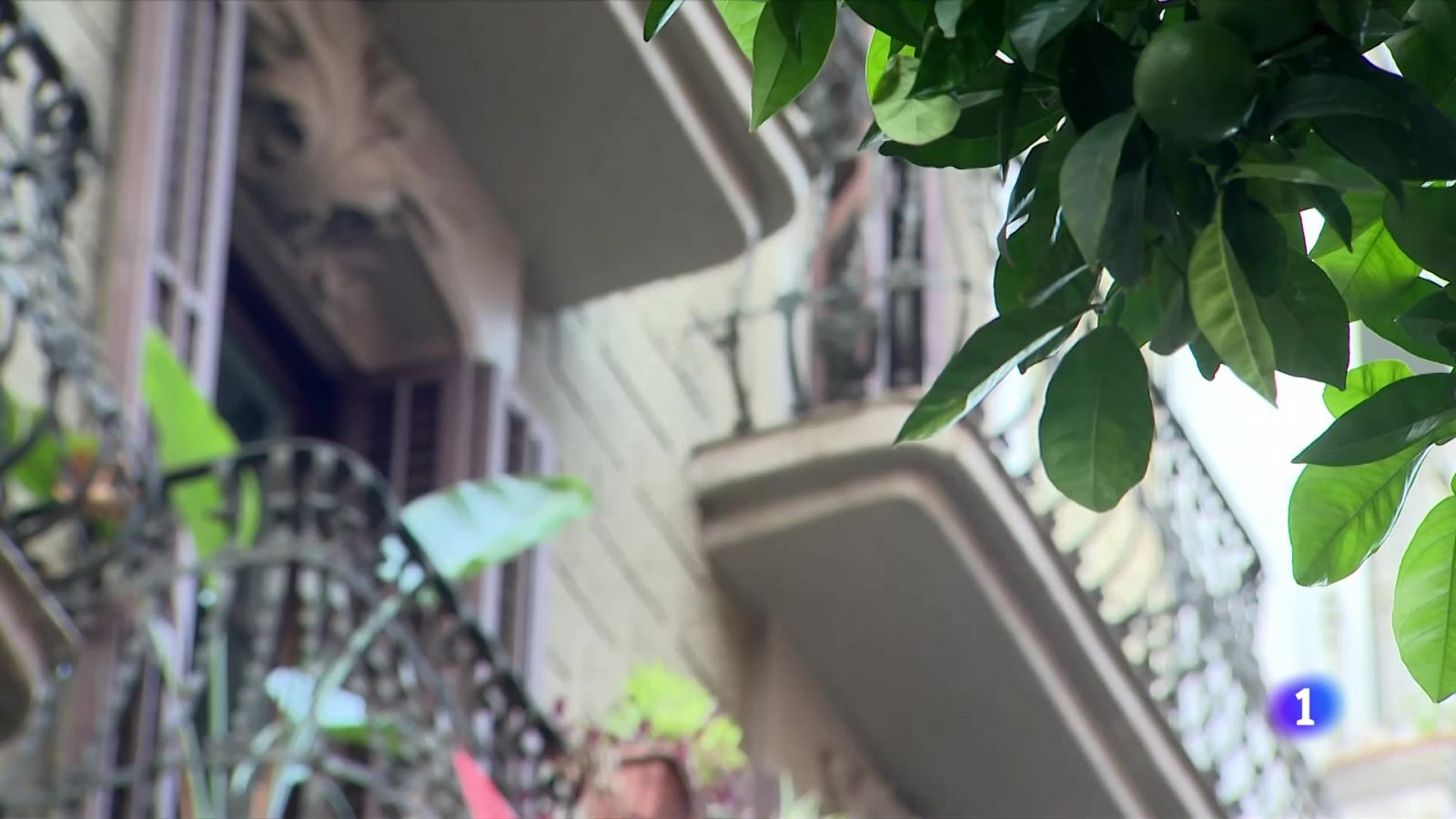 El preu del lloguer d'habitacions es dispara - L'Informatiu | Veure