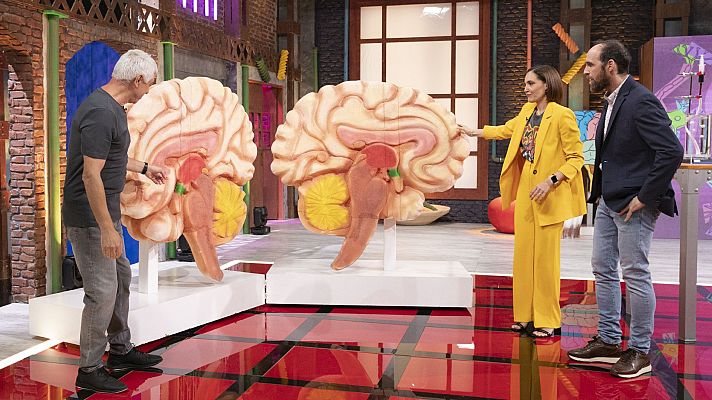 Órbita Laika - Cerebro hambriento