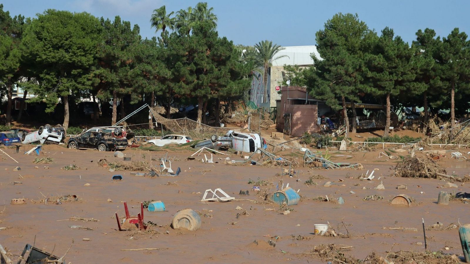 Daño medioambiental de la DANA: restos de basura y pérdida de suelos agrícolas