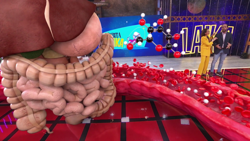 ¿Qué come el cerebro? ¿Qué relaciona a glucosa y diabetes?