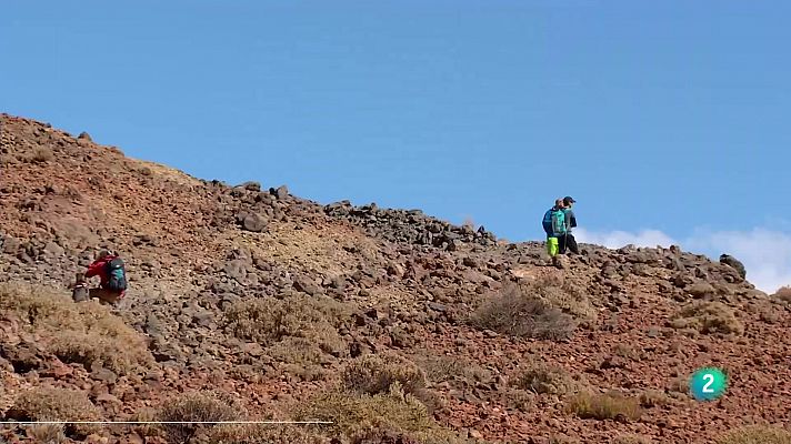 Telecanarias - Telecanarias 2 - 18/11/2024