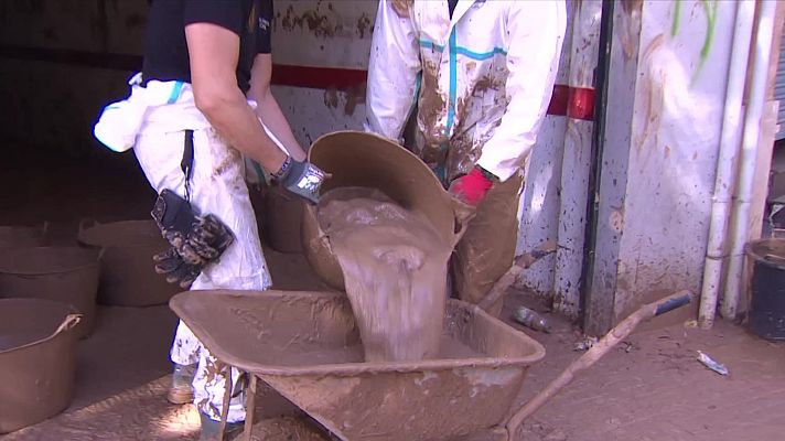 La tarde en 24h - La tarde en 24 horas - 18/11/24