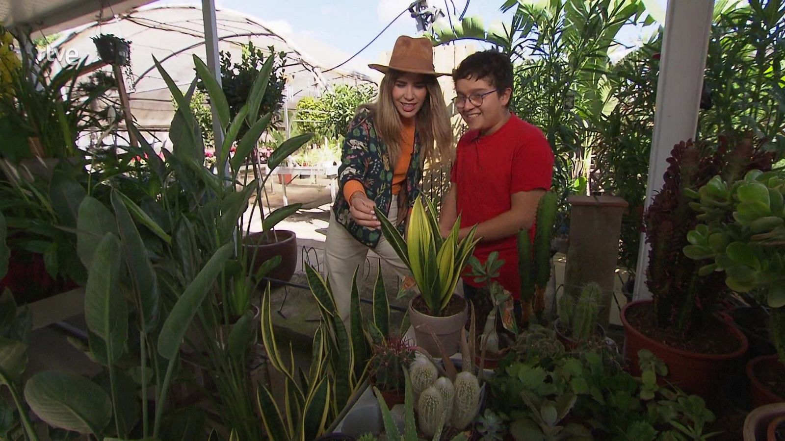 Propòsits d'una vida verda - Va de Verd - Va de verd | Veure