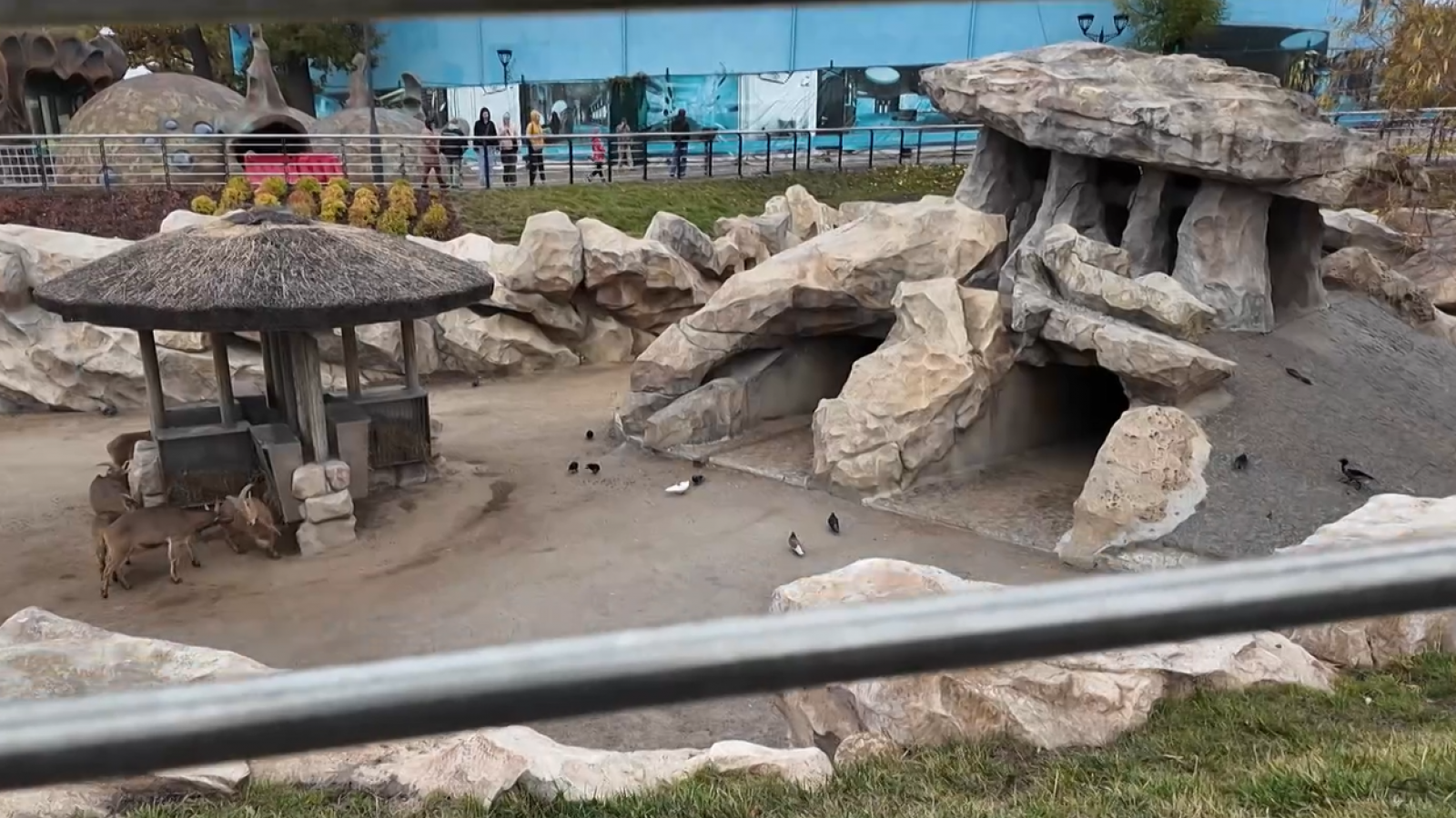 Cuando lo cotidiano comparte espacio con la guerra en Járkov | Ver